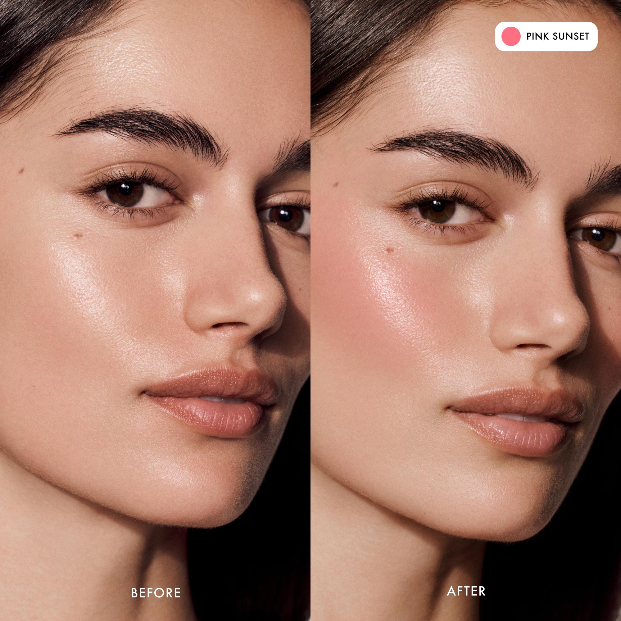 The Blush + Lip Duo (Pink Sunset + Pink Guava)