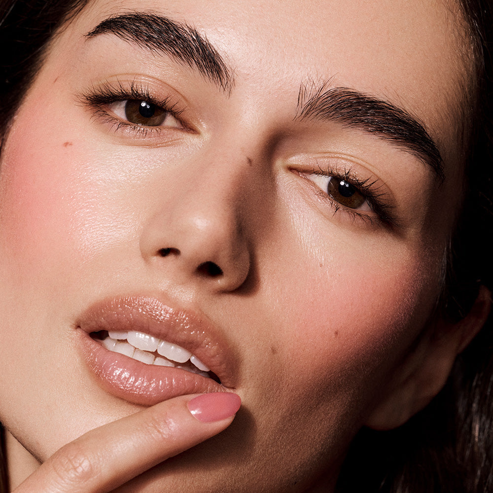 The Blush + Lip Duo (Pink Sunset + Pink Guava)